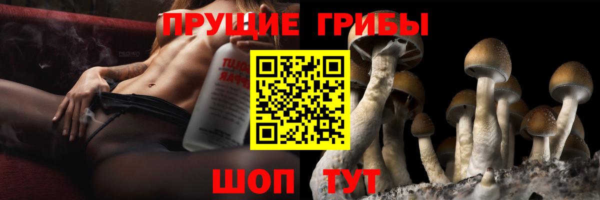 наркошоп  Псилоцибиновые грибы Psilocybe  Котовск  Вход с VPN  Галлюциногенные грибы Magic Shrooms 